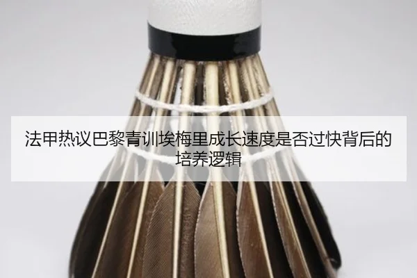 法甲热议巴黎青训埃梅里成长速度是否过快背后的培养逻辑